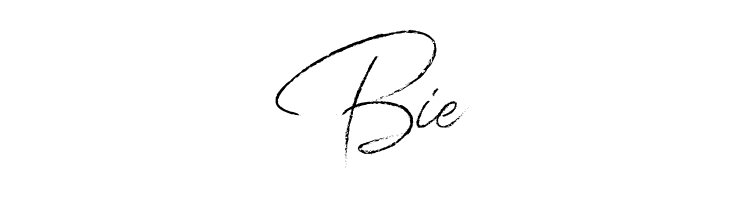 Donatella   Free Fonts Download