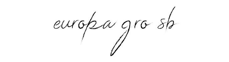 Donatella   Free Fonts Download