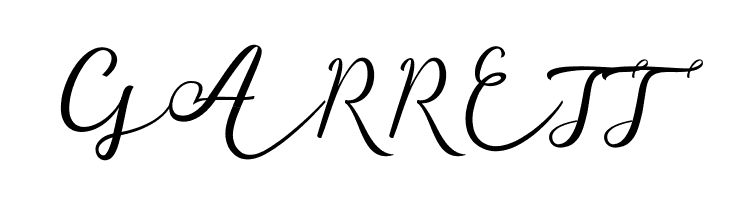 GarnitaScript  Free Fonts Download