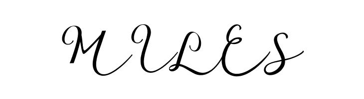 GarnitaScript  Free Fonts Download