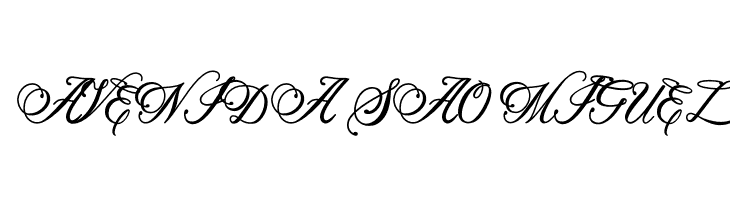 Beethoven Syinthesa  Free Fonts Download