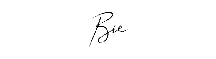 Sun Brush  Free Fonts Download