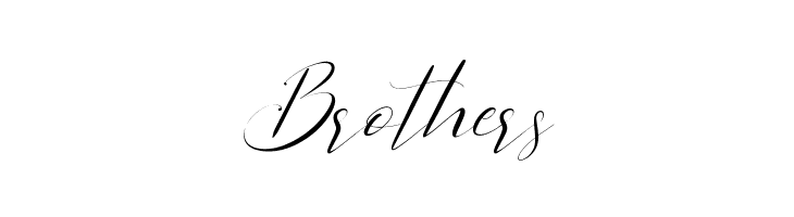 Sientta Script  Free Fonts Download