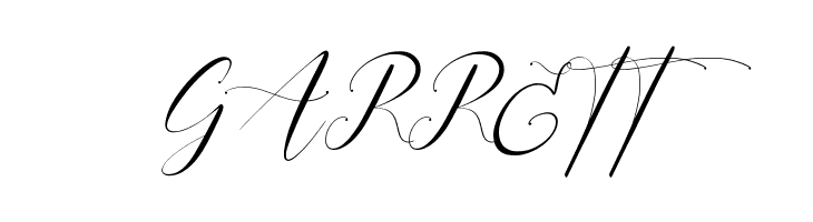 Sientta Script  Free Fonts Download