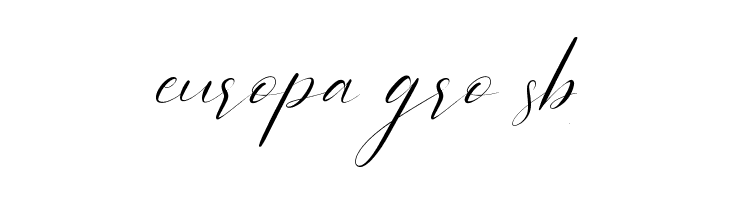 Sientta Script  Free Fonts Download