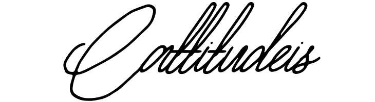 Anderson Wakler Italic  Free Fonts Download