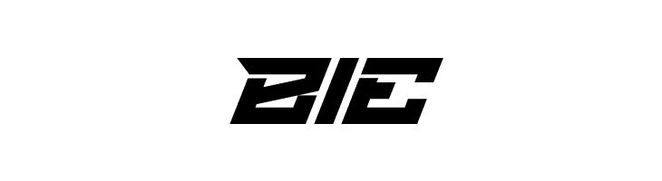 BRAKSHOO  Free Fonts Download