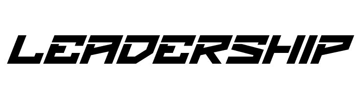 BRAKSHOO  Free Fonts Download