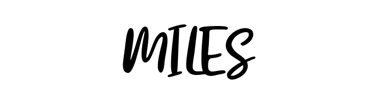 Bristle  Free Fonts Download