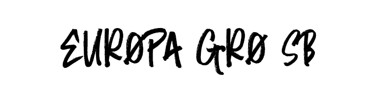 RandomBrush  Free Fonts Download