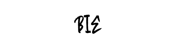 Random Brush  Free Fonts Download