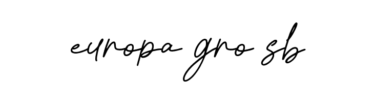 Rosseta Notes - Personal Use  Free Fonts Download