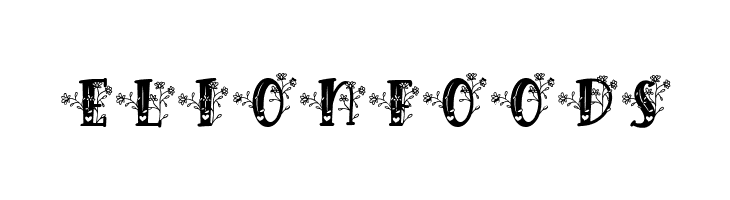 Hilens Flower Monogram Regular  Free Fonts Download