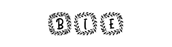 Shanty Christmas Monogram Reg  Free Fonts Download