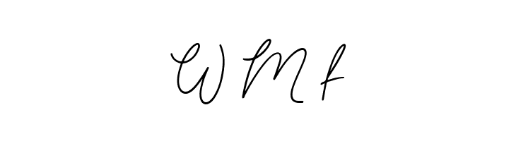 Tyloos Signature - Personal Use  Free Fonts Download