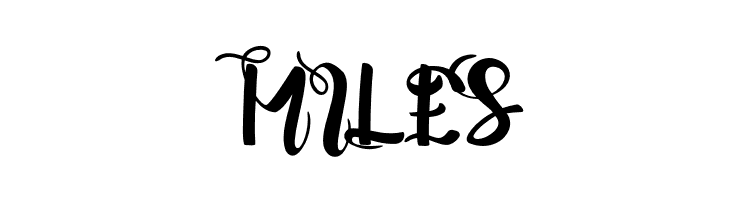 Shintya  Free Fonts Download