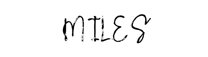 Bloody Script  Free Fonts Download