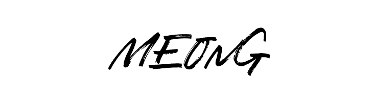 Lucy Black  Free Fonts Download