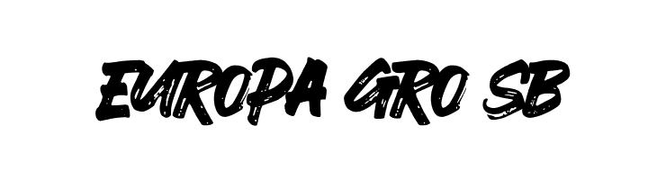 EVER LOOSER  Free Fonts Download