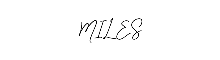 Bullaina  Free Fonts Download