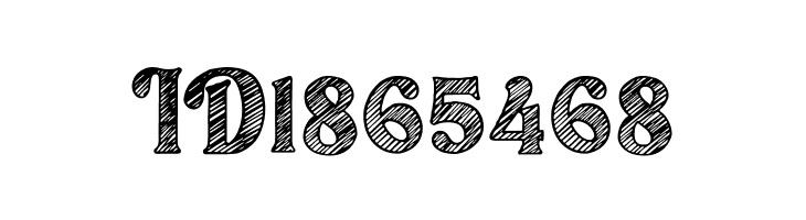 Bolgen Sketch  Free Fonts Download