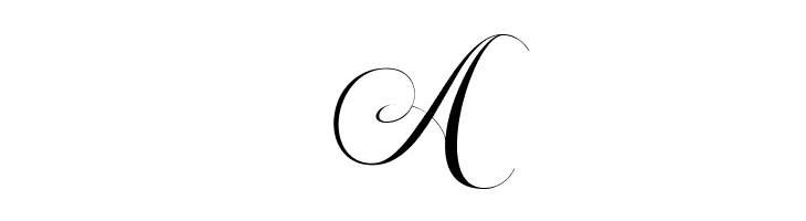 Beautiful Roses Script  Free Fonts Download