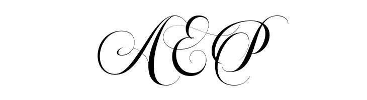 Beautiful Roses Script  Free Fonts Download