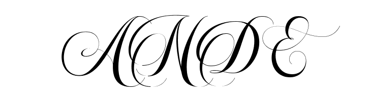 Beautiful Roses Script  Free Fonts Download