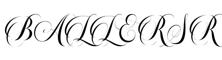 Beautiful Roses Script  Free Fonts Download