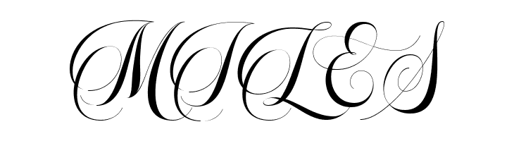 Beautiful Roses Script  Free Fonts Download