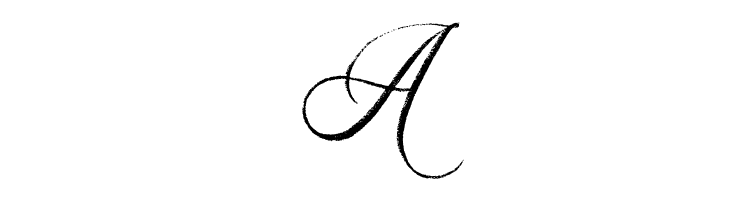 Dayland  Free Fonts Download