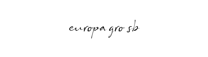 Bs Signature Demo  Free Fonts Download