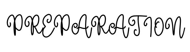 Morning Christmas Script  Free Fonts Download