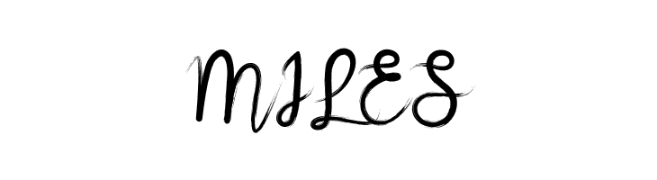 brushnyoe  Free Fonts Download