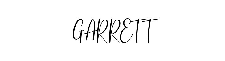 Basston Script  Free Fonts Download