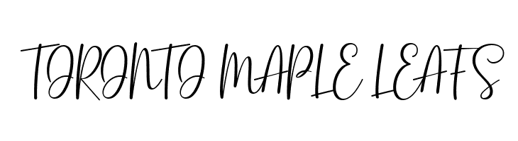 Basston Script  Free Fonts Download