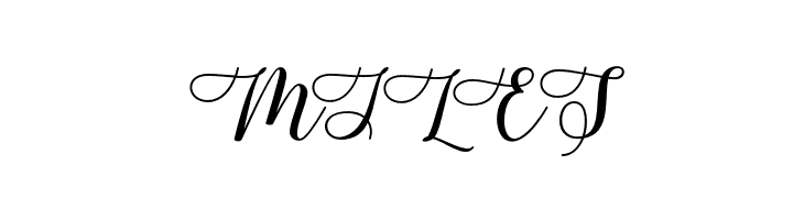 sellita  Free Fonts Download