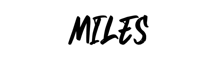 Blockade  Free Fonts Download