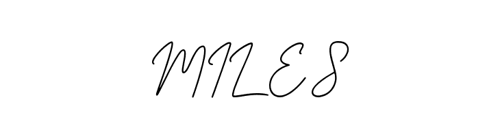 Brittney Signature  Free Fonts Download