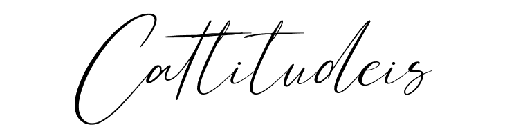 Bonstage  Free Fonts Download