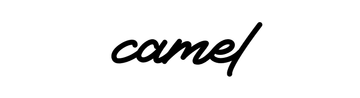 Xet-hand Script  Free Fonts Download