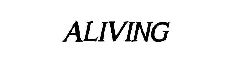 A Song For Jennifer Bold Italic  Free Fonts Download