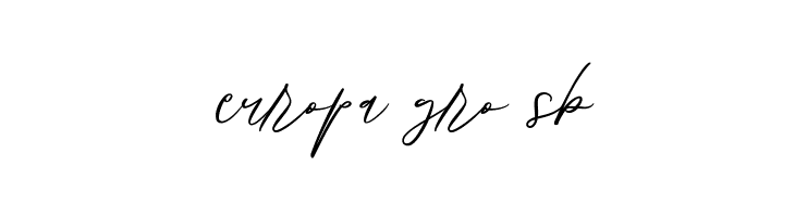 Bjornsson Signature Regular  Free Fonts Download