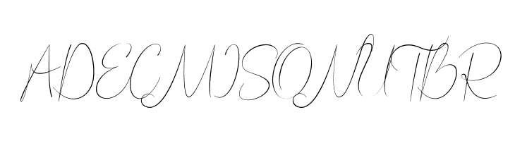 Bordershine Script  Free Fonts Download