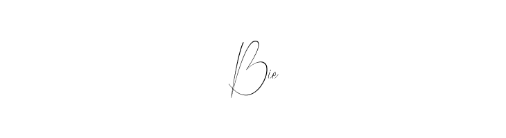 Bordershine Script  Free Fonts Download
