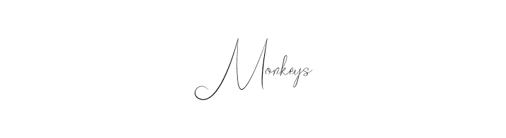 Bordershine Script  Free Fonts Download