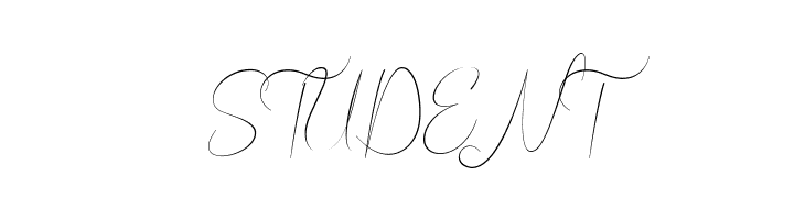 Bordershine Script  Free Fonts Download