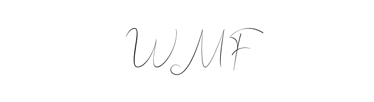 Bordershine Script  Free Fonts Download
