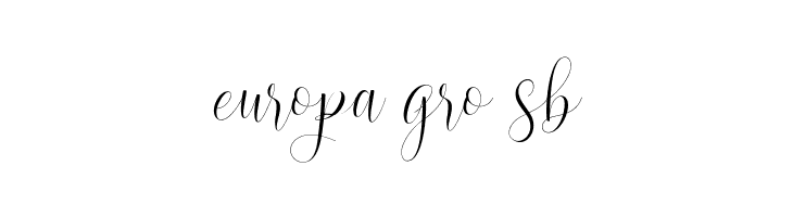 Wondelight  Free Fonts Download