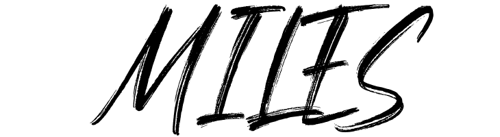 Night in Paradise  Free Fonts Download